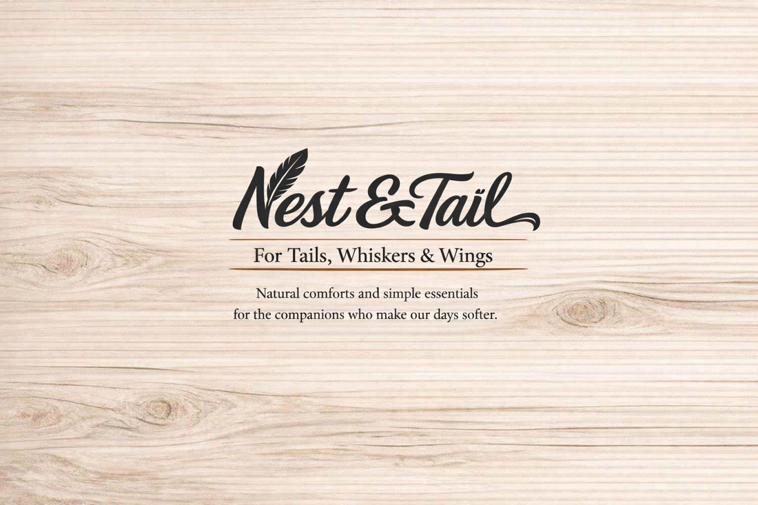 🐾 Welcome to the Beginning of Nest & Tail